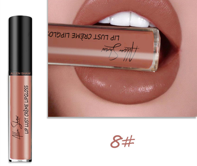 Silky Cream texture Lip Gloss vibrant shades
