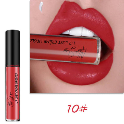 Silky Cream texture Lip Gloss vibrant shades