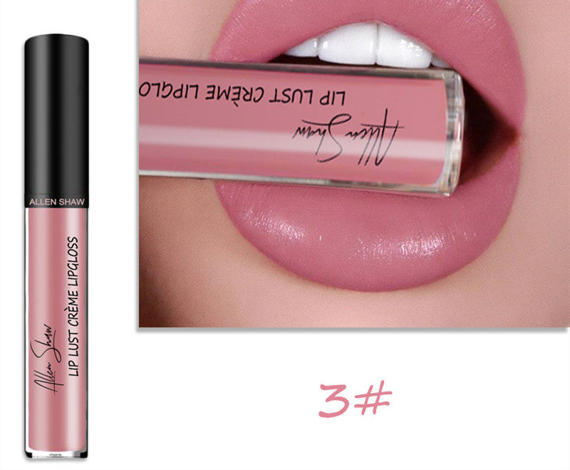 Silky Cream texture Lip Gloss vibrant shades