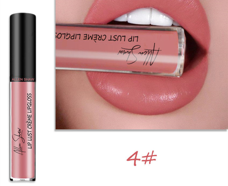 Silky Cream texture Lip Gloss vibrant shades
