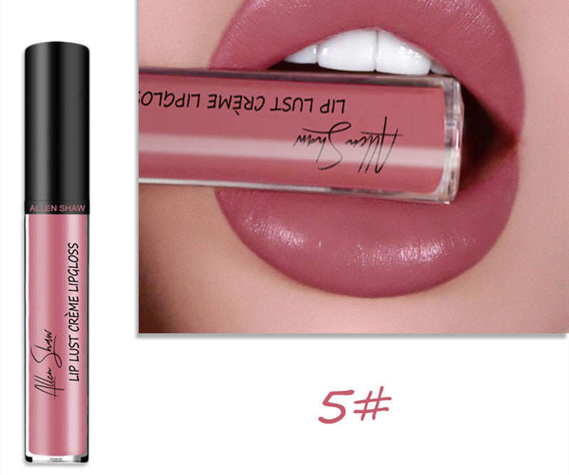 Silky Cream texture Lip Gloss vibrant shades