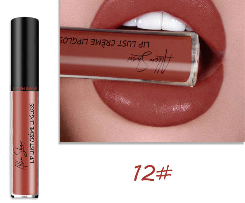 Silky Cream texture Lip Gloss vibrant shades