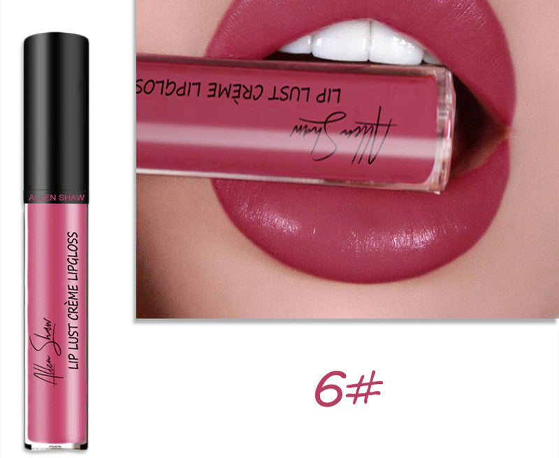 Silky Cream texture Lip Gloss vibrant shades