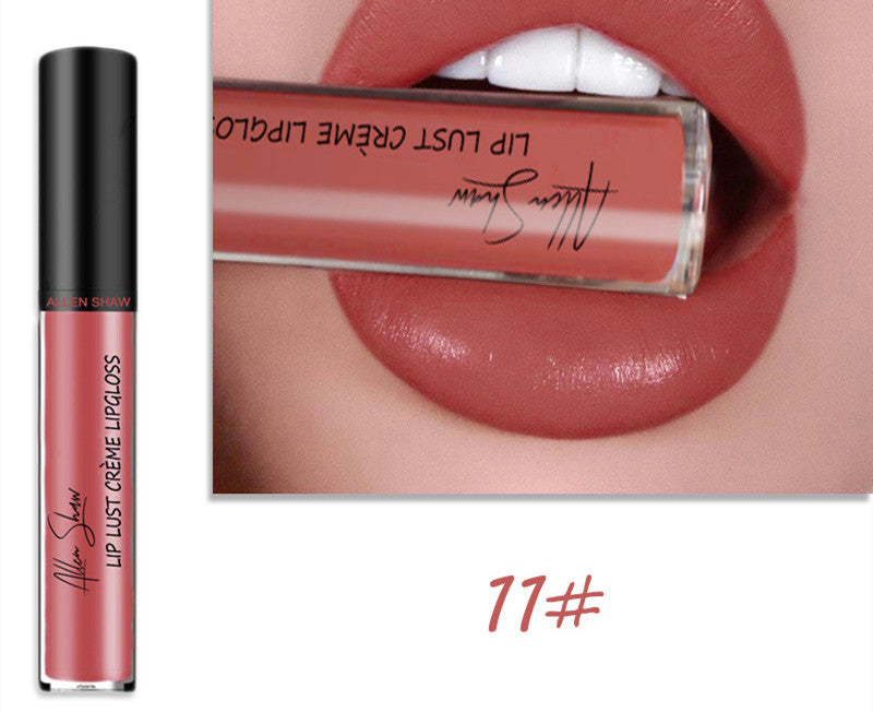 Silky Cream texture Lip Gloss vibrant shades