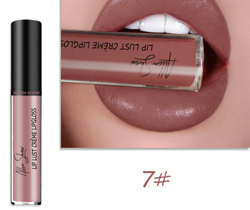 Silky Cream texture Lip Gloss vibrant shades