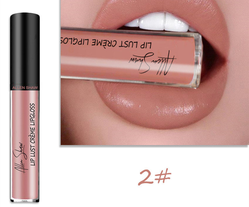 Silky Cream texture Lip Gloss vibrant shades