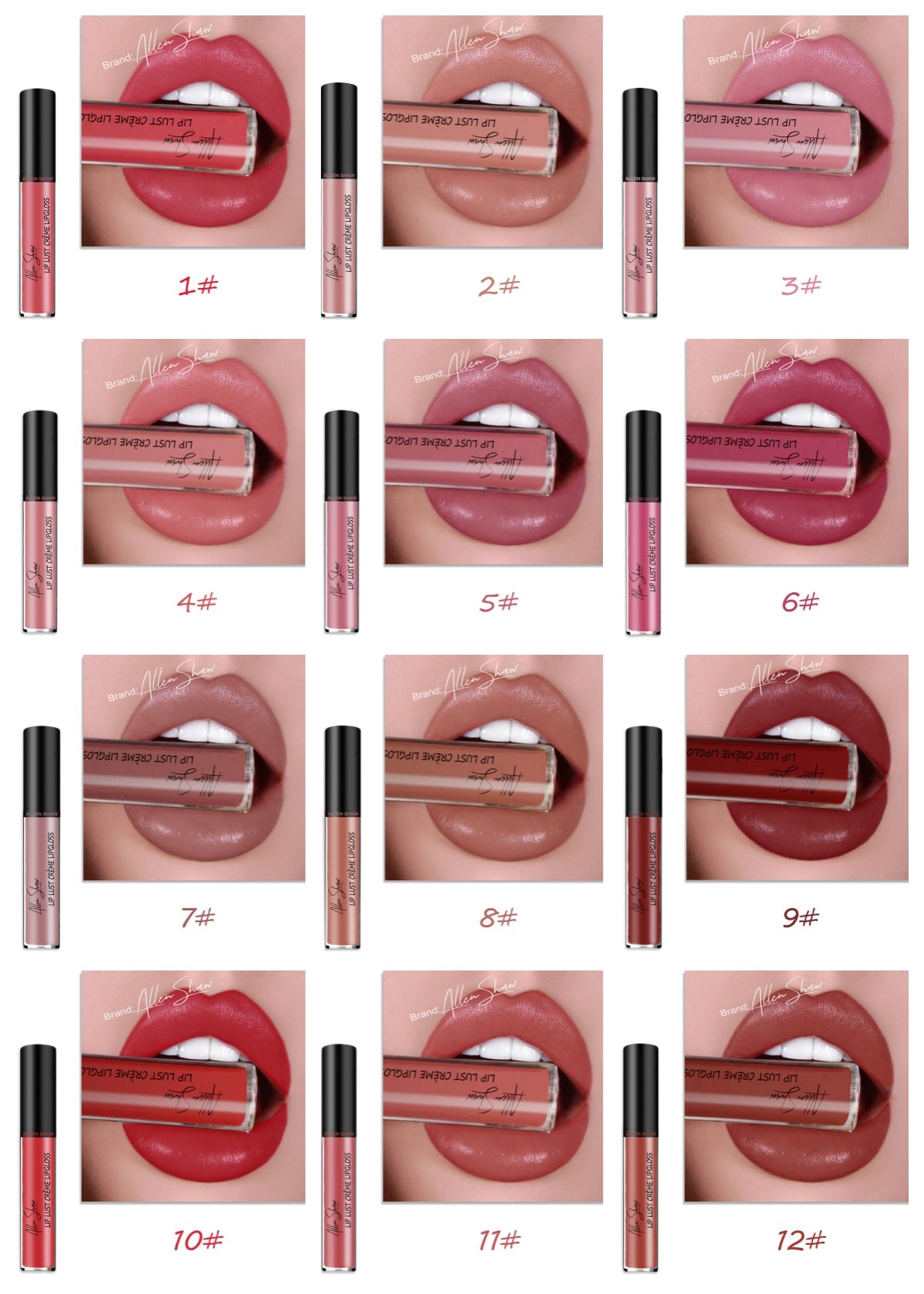 Silky Cream texture Lip Gloss vibrant shades
